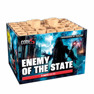 Enemy Of The State